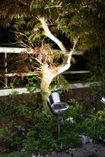 Spot solaire inox brossé 30 Lumens - Galix Solaire Shop