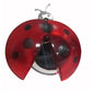 Coccinelle solaire clipsable - Galix Solaire Shop