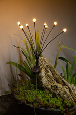 Décoration lumineuse à énergie solaire : Bouquet 8 LED - Galix Solaire Shop